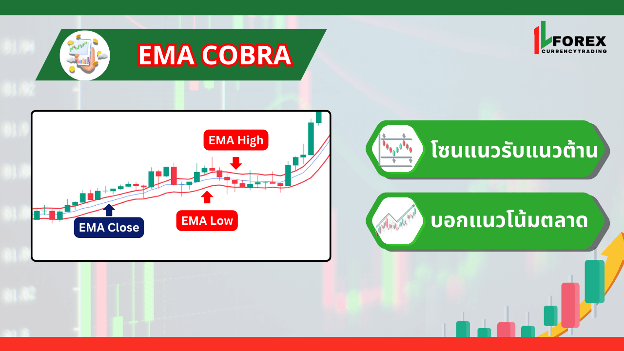 EMA 12 : High Low Close