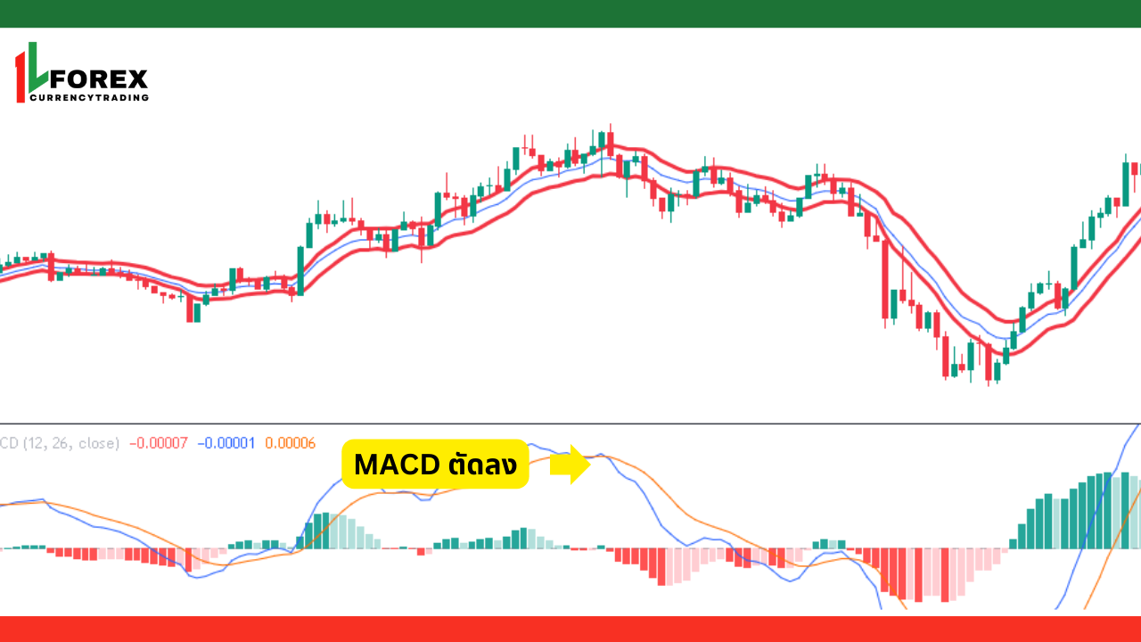 เงื่อนไขในการเทรดขาลง